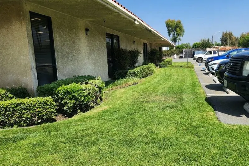 Mown turf strip and trimmed shrub beds running alongside an office building and its parking area