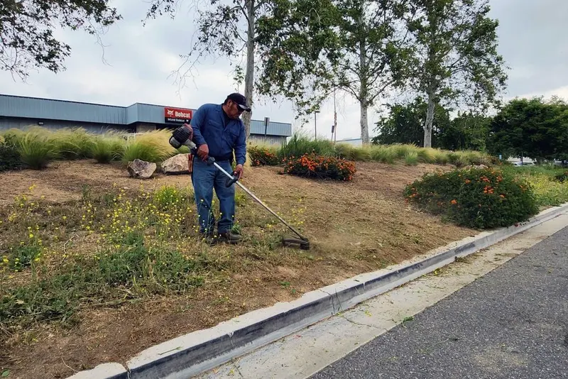 Crew member string trimming the edge of a planting island beside a commercial parking lot