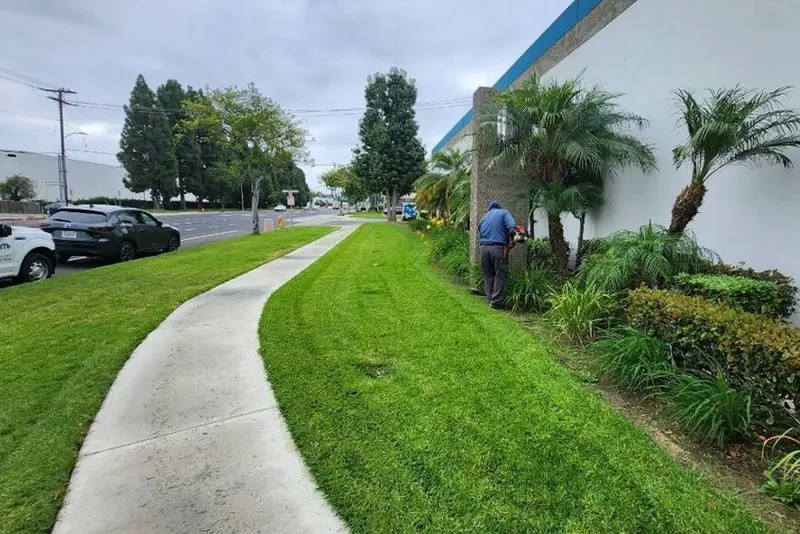 Curved concrete walkway with mown turf and palms running alongside an industrial building