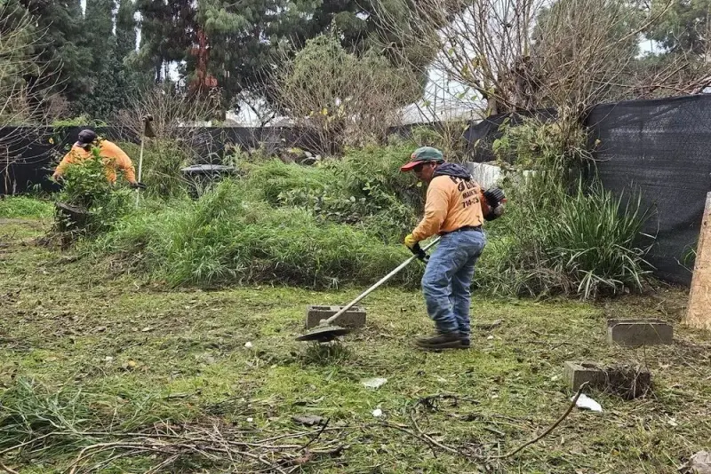 Two crew members clearing heavy overgrowth on a commercial lot with string trimmers