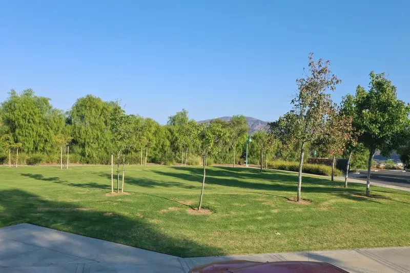 Wide open mown turf area with young trees and hills in the distance at a commercial campus