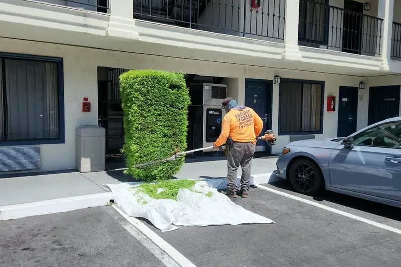 Crew member trimming a tall column shrub outside a two story multi family building