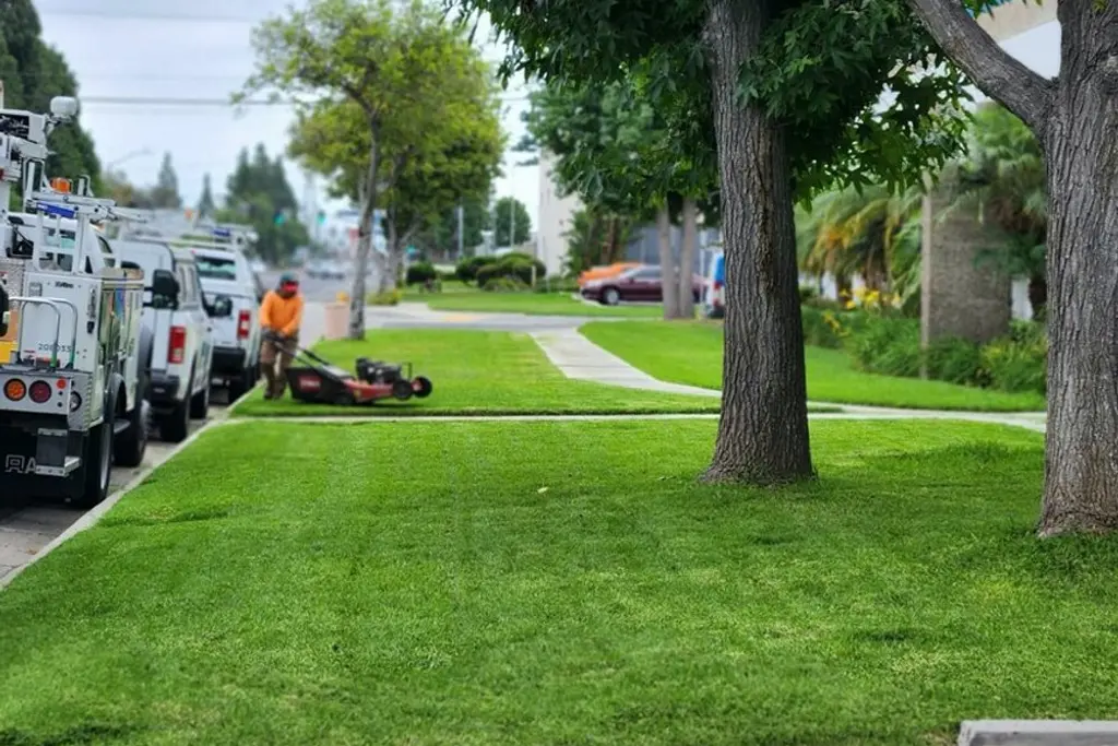 Row of Pacific Green service trucks parked at a commercial property with a crew member mowing nearby