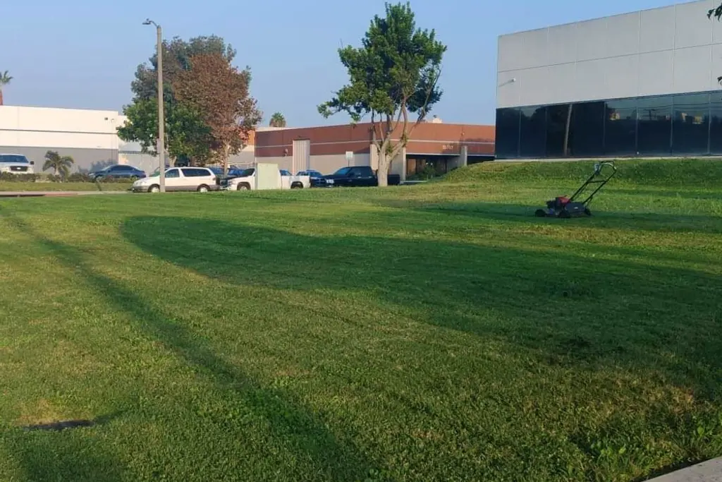 Broad mown turf frontage with mature trees in front of a low industrial building and parking