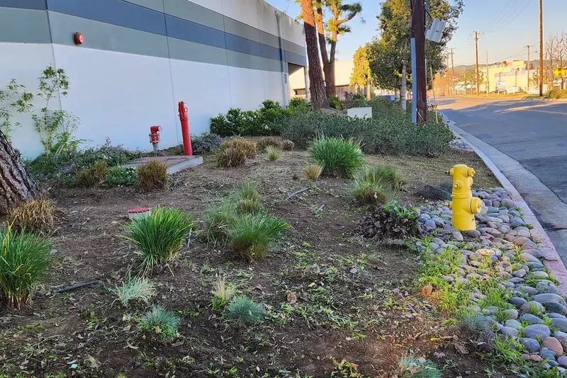 Drought tolerant planting with ornamental grasses and river rock beside a commercial building and fire hydrant