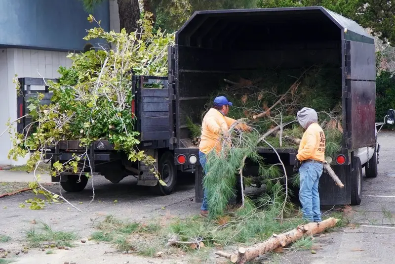 Two crew members loading cut branches into a dump truck bed at a commercial property