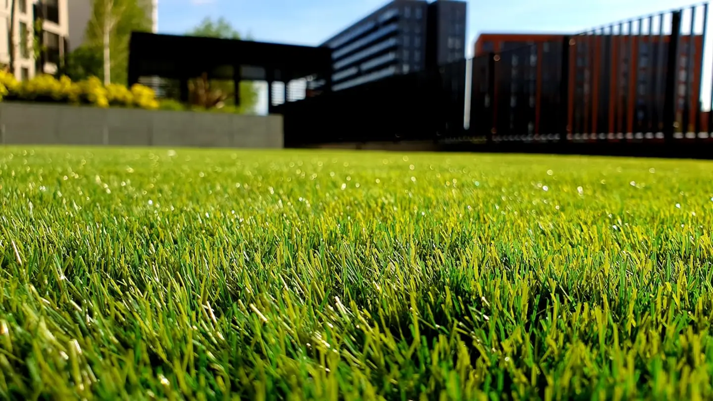 Well maintained commercial turf in front of modern multi story office and residential buildings