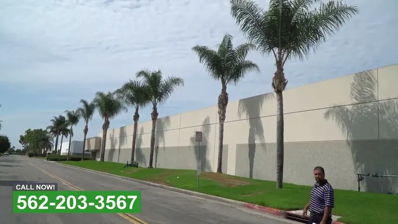 Play video: Palm trimming along an industrial frontage