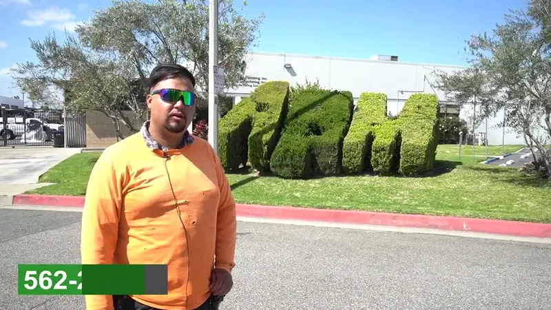 Play video: Shaping shrubs at an Anaheim commercial property