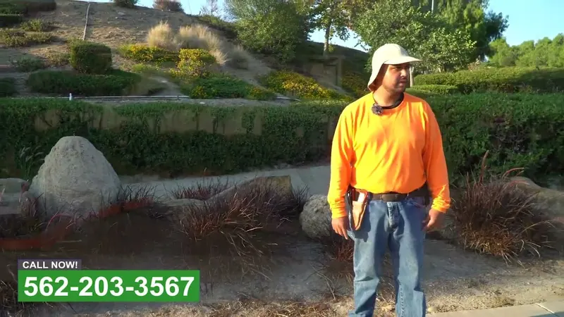 Play video: Slope planting that holds soil in place