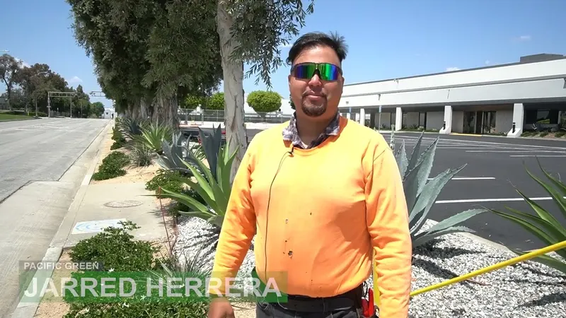 Play video: Drought tolerant planting on a commercial site