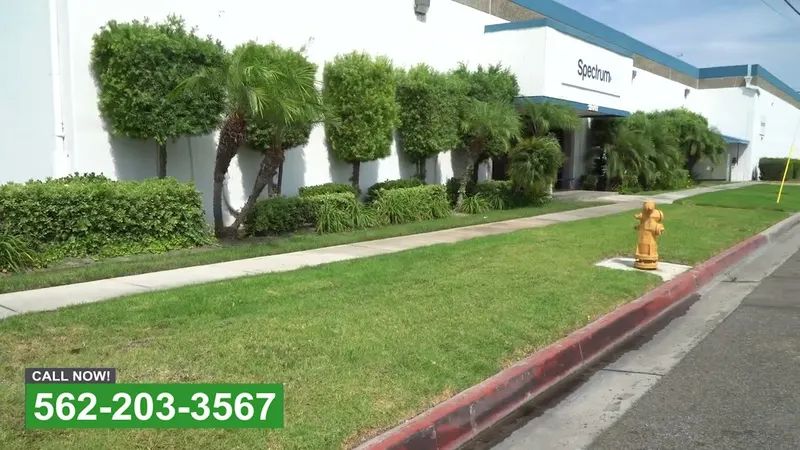 Play video: Formal hedges kept in shape year round