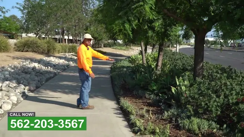 Play video: Water wise planting in a commercial median