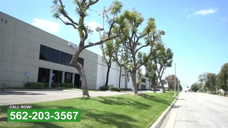Play video: Trimming trees at a Santa Fe Springs commercial site