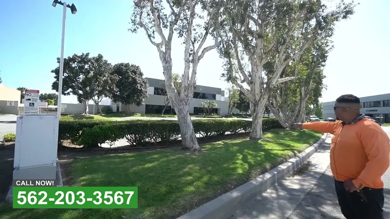 Play video: Landscape service at a commercial site in Orange