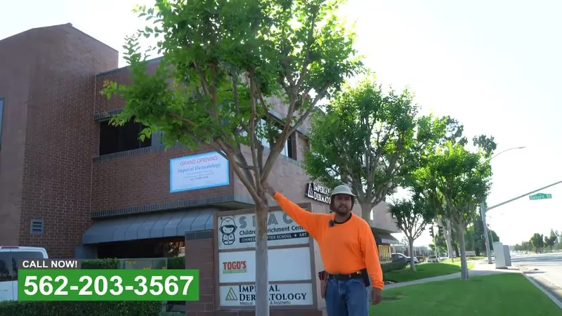 Play video: Entry landscaping at a commercial building