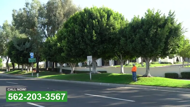 Play video: Street frontage on a commercial block