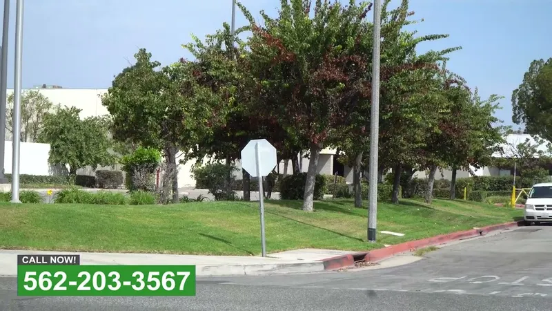 Play video: Installing irrigation at a commercial site