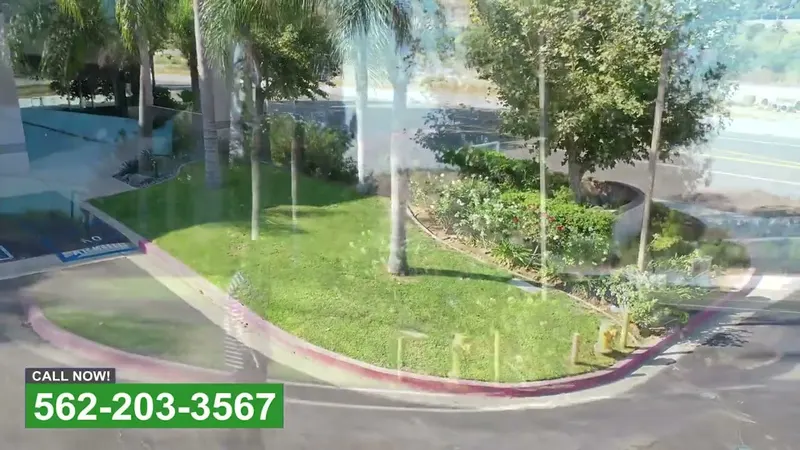 Play video: Groundcover along a commercial sidewalk