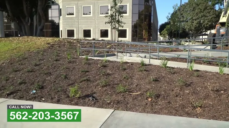 Play video: A commercial bed replanted from bare soil