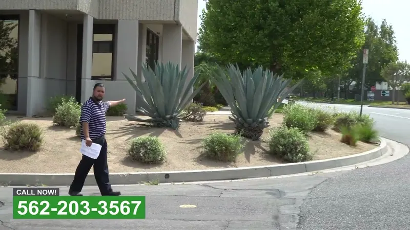 Play video: Drought planting in a commercial median